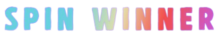 Spin-Winner-Game